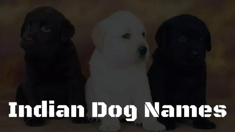 Indian Dog Names